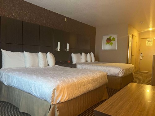 Best Western Plus Rama Inn & Suites - image 41
