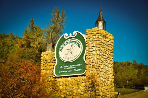 Hounds Tooth Inn - image 11