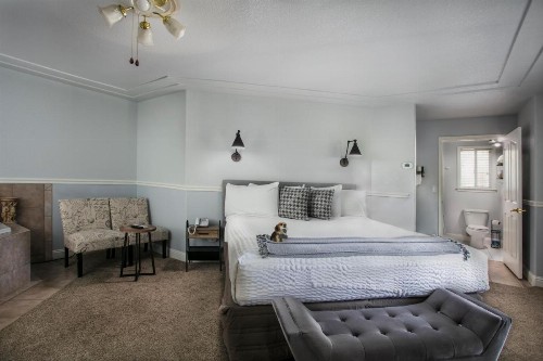 Hounds Tooth Inn - image 14