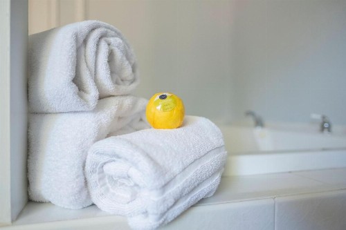 Hounds Tooth Inn - image 31