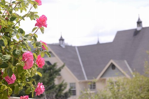 Hounds Tooth Inn - image 35