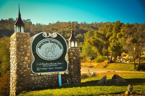Hounds Tooth Inn - image 36