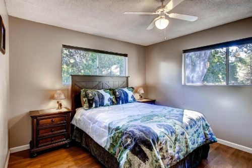 Lazy Bear Lodge - image 12