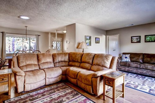 Lazy Bear Lodge - image 2
