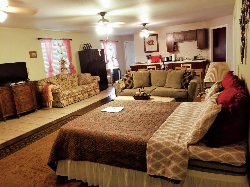Charming Downstairs Unit - image 1