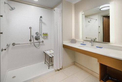 Holiday Inn Express & Suites Oakhurst-Yosemite Park Area an IHG Hotel - image 30