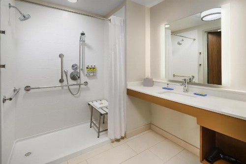 Holiday Inn Express & Suites Oakhurst-Yosemite Park Area an IHG Hotel - image 34