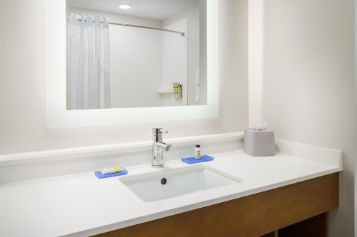 Holiday Inn Express & Suites Oakhurst-Yosemite Park Area an IHG Hotel - image 42