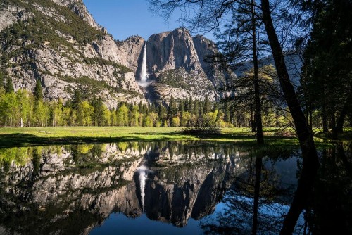 Holiday Inn Express & Suites Oakhurst-Yosemite Park Area an IHG Hotel - image 6