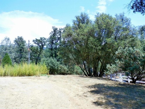 NEW CHARMING 2 BEDROOMS UNIT CLOSE TO EVERYTHING - image 23