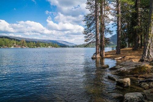 Fairfield Inn & Suites by Marriott Oakhurst Yosemite - image 21