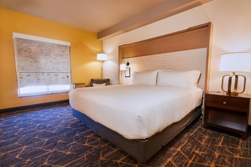 Holiday Inn Oakland Airport an IHG Hotel - image 13