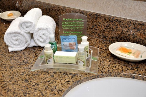 Holiday Inn Oakland Airport an IHG Hotel - image 15