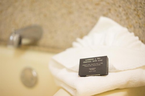 Oakland Airport Executive Hotel - image 33