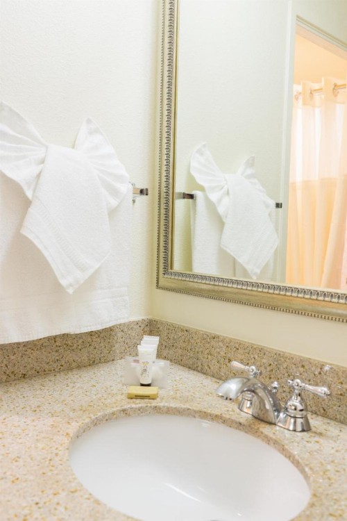 Oakland Airport Executive Hotel - image 8