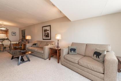 104B - Lakefront One Bedroom Condo with 2 Fireplaces & Flat Screen TV! - image 8