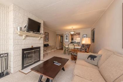 104B - Lakefront One Bedroom Condo with 2 Fireplaces & Flat Screen TV! - image 11