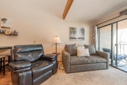 709H - Lakefront Penthouse Studio Condo with Breathtaking Lake Views Free WIFI! - image 9