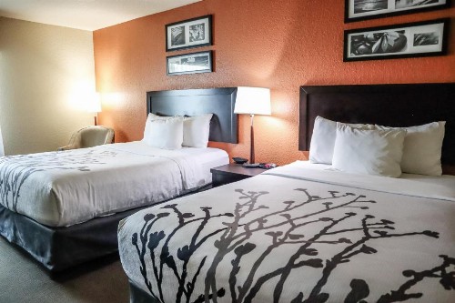 Sleep Inn & Suites - Ocala - image 24