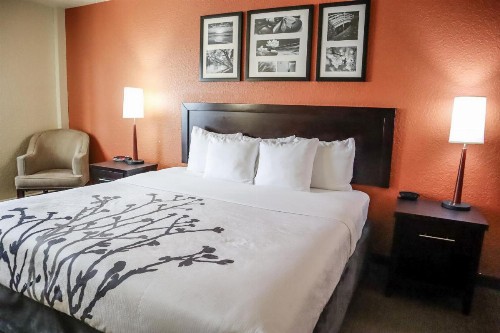Sleep Inn & Suites - Ocala - image 25