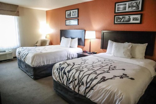 Sleep Inn & Suites - Ocala - image 27