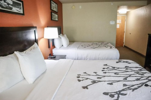 Sleep Inn & Suites - Ocala - image 28