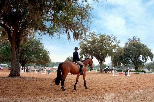 Howard Johnson by Wyndham Ocala FL - image 50