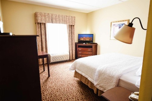 Hampton Inn & Suites Ocala - Belleview - image 21