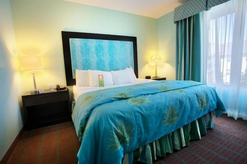 Holiday Inn Hotel & Suites Ocala Conference Center an IHG Hotel - image 30