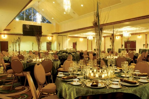 Holiday Inn Hotel & Suites Ocala Conference Center an IHG Hotel - image 4