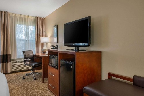 Comfort Inn Ocala Silver Springs - image 10