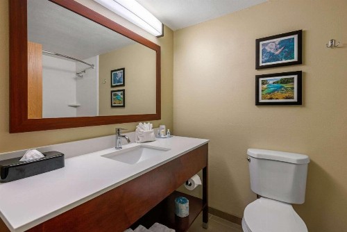 Comfort Inn Ocala Silver Springs - image 13