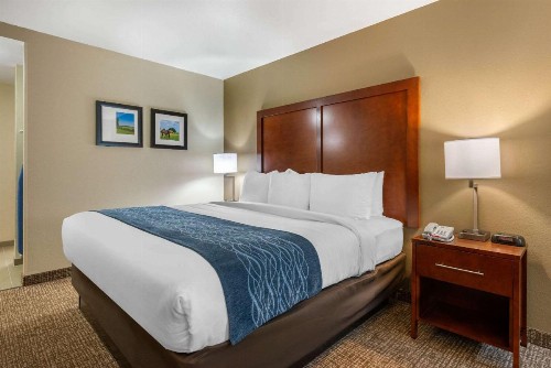 Comfort Inn Ocala Silver Springs - image 15