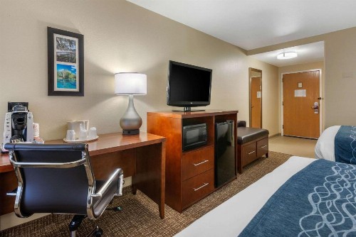 Comfort Inn Ocala Silver Springs - image 19