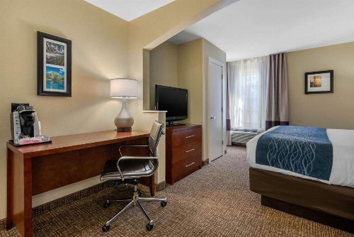Comfort Inn Ocala Silver Springs - image 28