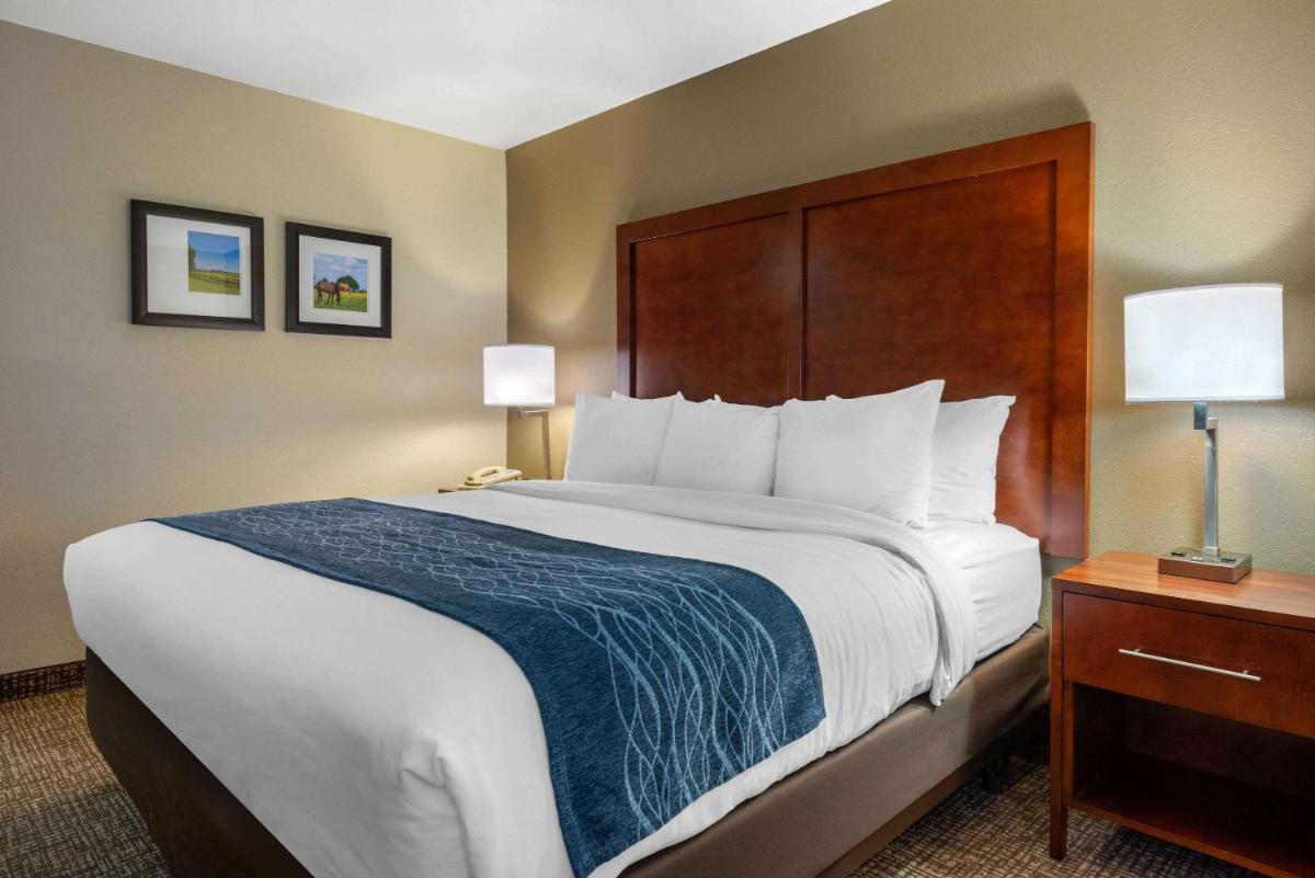 Comfort Inn Ocala Silver Springs - image 3