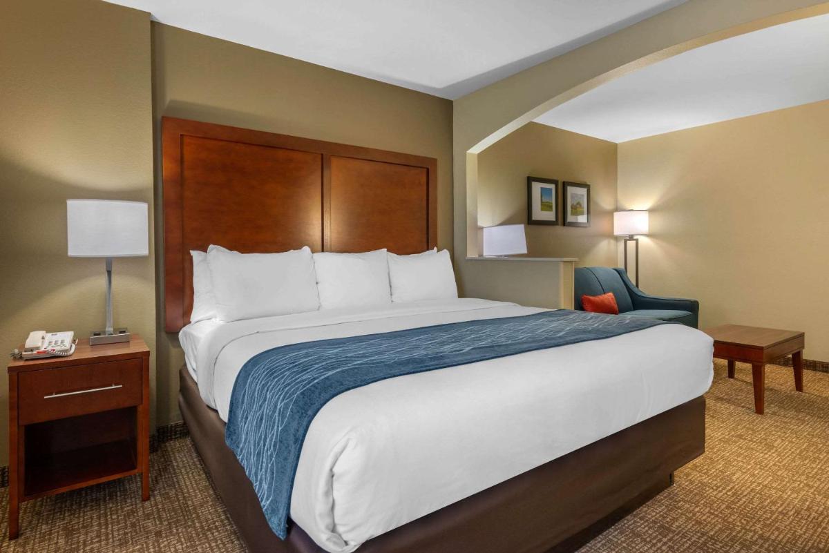 Comfort Inn Ocala Silver Springs - image 4
