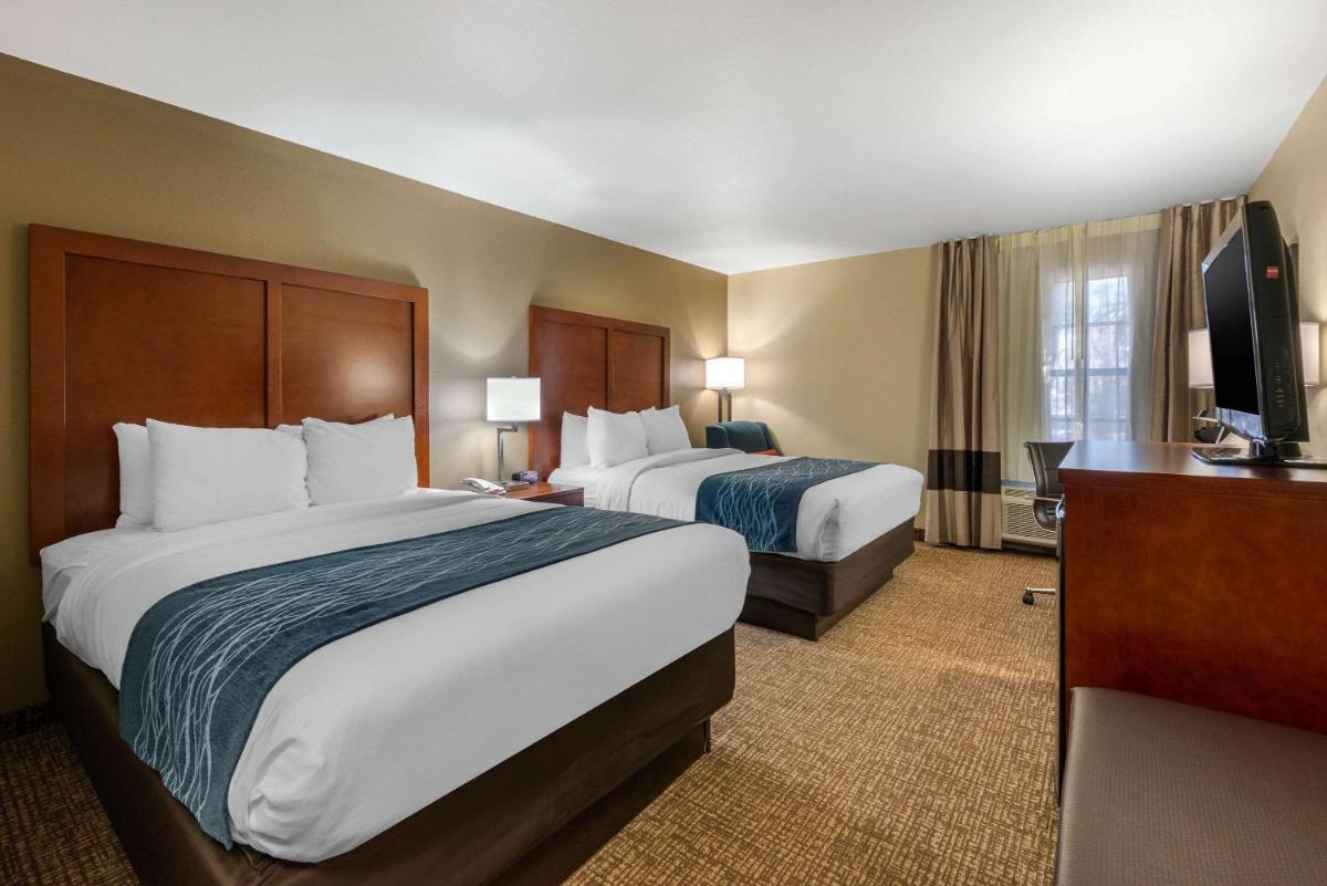 Comfort Inn Ocala Silver Springs - image 5