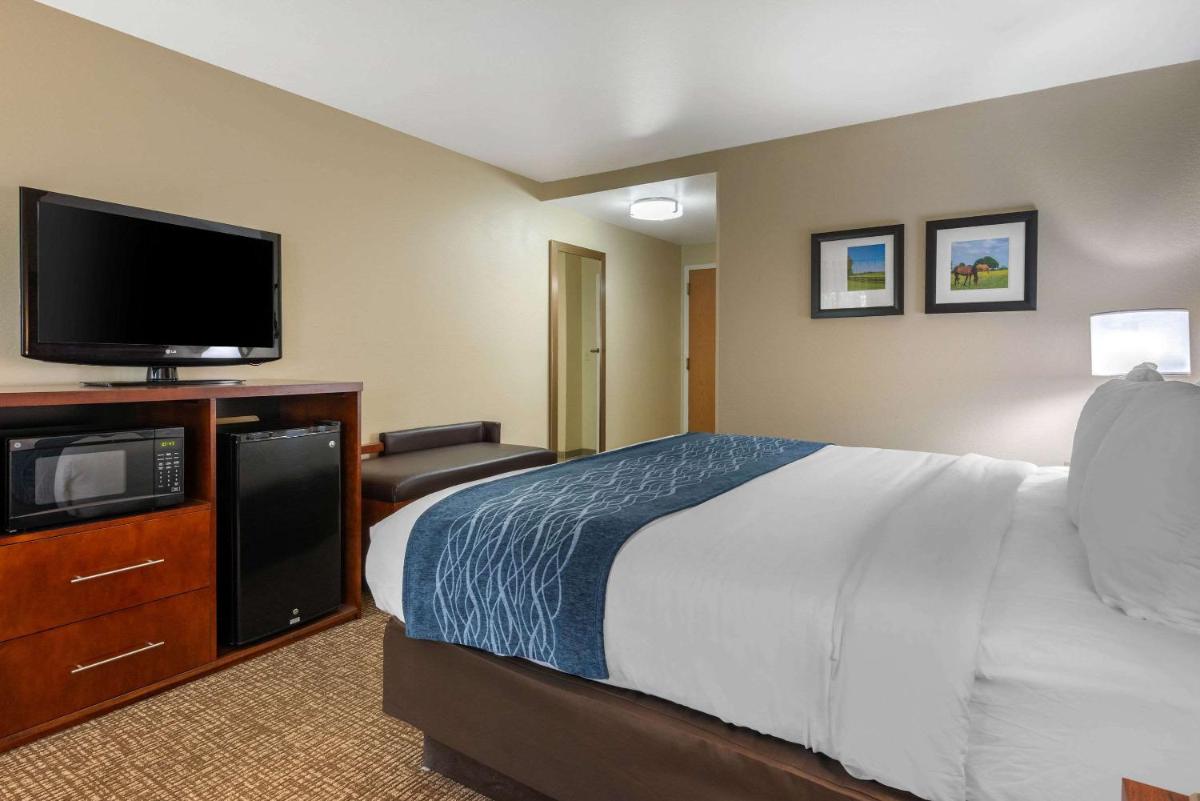 Comfort Inn Ocala Silver Springs - image 6