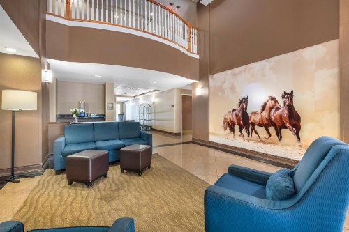 Comfort Suites Ocala North - image 29