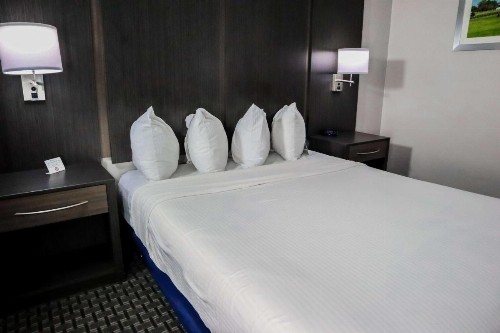 Best Western Ocala Park Centre - image 19