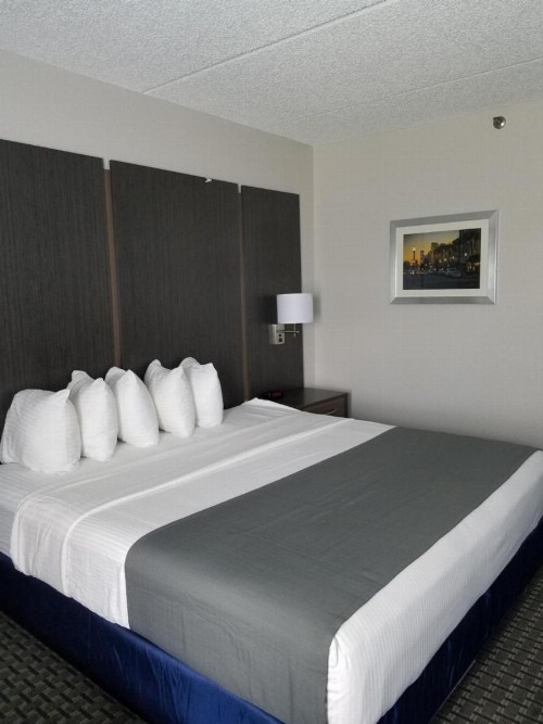 Best Western Ocala Park Centre - image 26