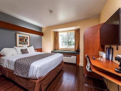 Microtel Inn and Suites Ocala - image 30