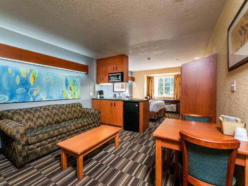 Microtel Inn and Suites Ocala - image 36