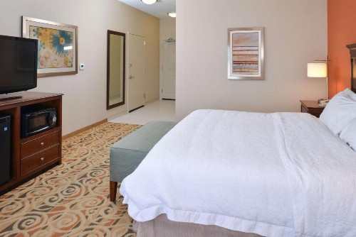 Hampton Inn & Suites - Ocala - image 29