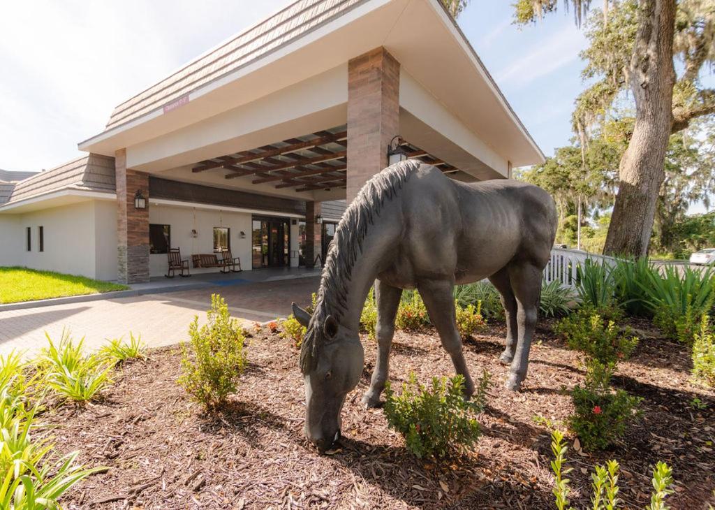 Equus Inn - main image