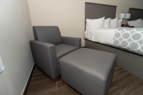 Equus Inn - image 28