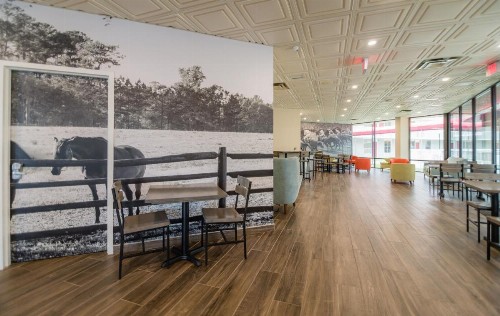 Equus Inn - image 48