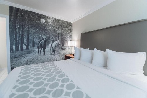 Equus Inn - image 7