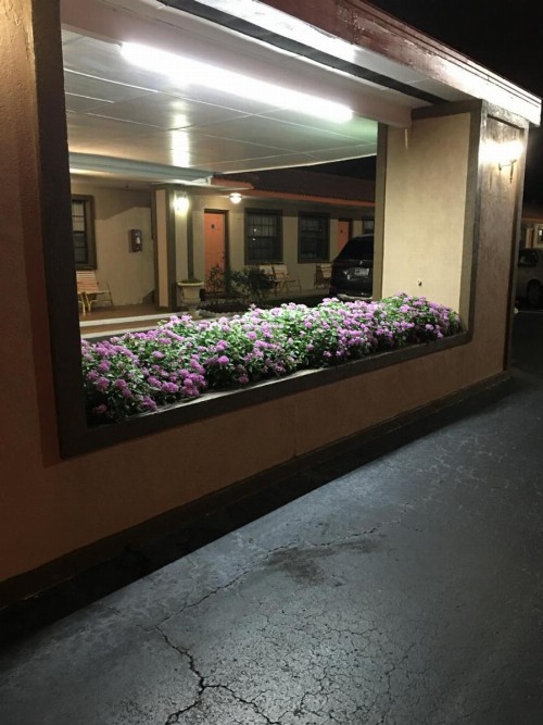 Silver Princess Motel - image 12
